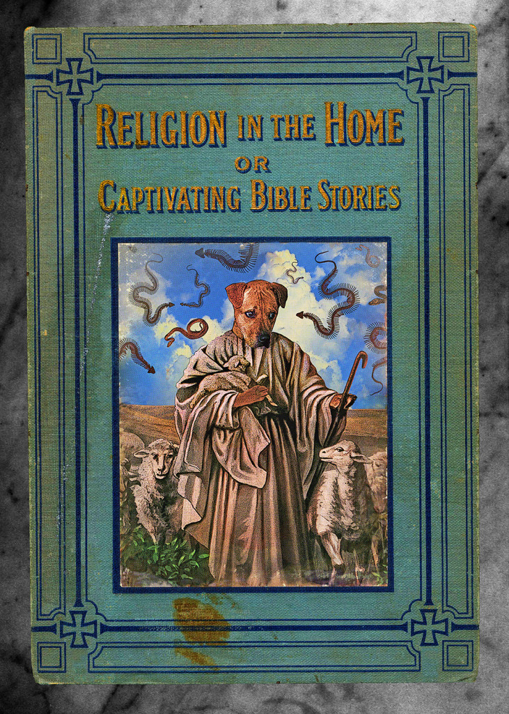 DS-religion-in-the-home-featuring-fido-of-nazareth-731x1024